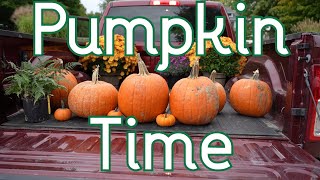 Autumn is Here, Time to Get Pumpkins!!