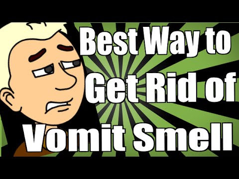 Best Way to Get Rid of Vomit Smell