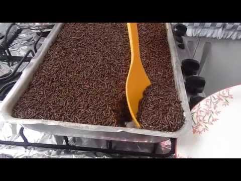 download lagu mp3 mp4 Chocolate Para Bolo, download lagu Chocolate Para Bolo gratis, unduh video klip Chocolate Para Bolo