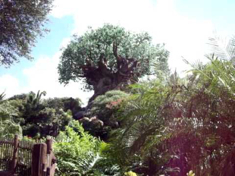 Tree of Life Atmosphere