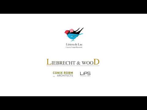 Liziera de Lac: Casa ta. Lângă București
