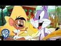 Looney Tunes Em Português Brasil Pizzarriba WB Kids