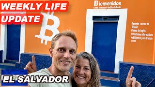Week 85 - Book: Should You Own Bitcoin and our life in Berlin El Salvador