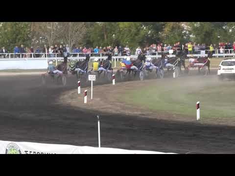 Trka "Državno prvenstvo za grla od 3 godine” 18.09.2021 Tekila - Miodrag Pantić