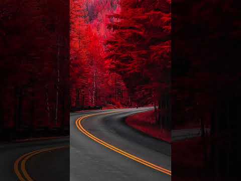 Konstantino Scape - Glow Up (Renaissance Playroom)