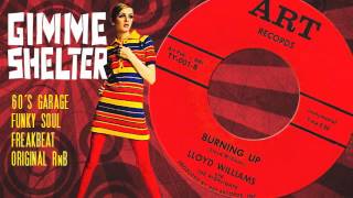 Lloyd Williams - Burning Up