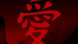 grasu xxl la adapost