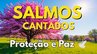 🎵Salmos Cantados | Caminhe com Deus e Encontre Paz | Bíblia em Canção