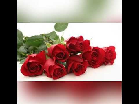 Happy birthday s@anju