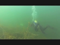Picture taken during the dive