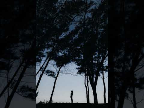 Where Did You Go?  (First State Remix) (World Club Music) - Bobina feat. Tiff Lacey