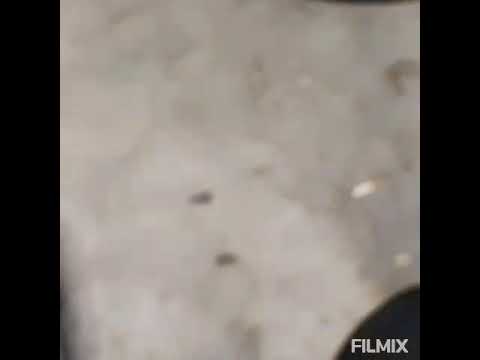 Da real Z28  10% freestyle