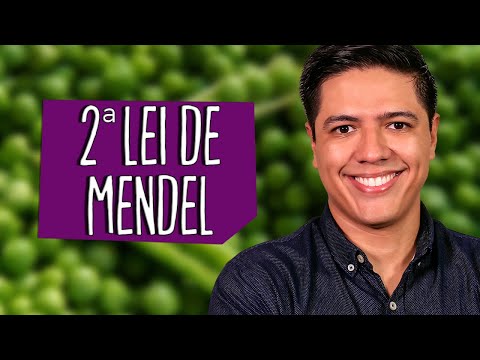 MENDEL'S 2ND LAW - GENETICS - Prof. Kennedy Ramos