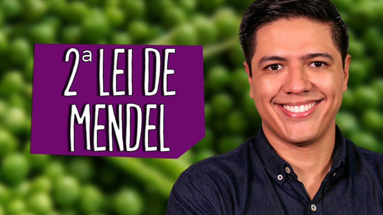 2ª LEI DE MENDEL - GENÉTICA - Prof. Kennedy Ramos
