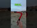 3d Printed Boomerang Vs Real