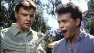 The 'Burbs (1989) Video