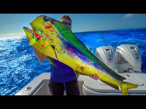 GIANT Color Changing Fish! Catch Clean Cook (Mahi Mahi)