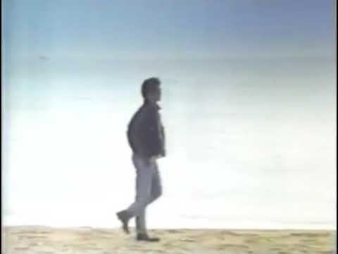 Umberto Tozzi & Raf - Gente di mare (Eurovision Song Contest 1987, ITALY 🇮🇹) preview video