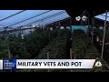 Veterans push for marijuana reform