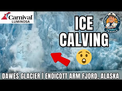 Thumbnail for Ice Calving Off Dawes Glacier In Endicott Arm Fjord, Alaska | Carnival Luminosa #fyp #alaskancruise