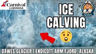 Ice Calving Off Dawes Glacier In Endicott Arm Fjord, Alaska | Carnival Luminosa #fyp #alaskancruise