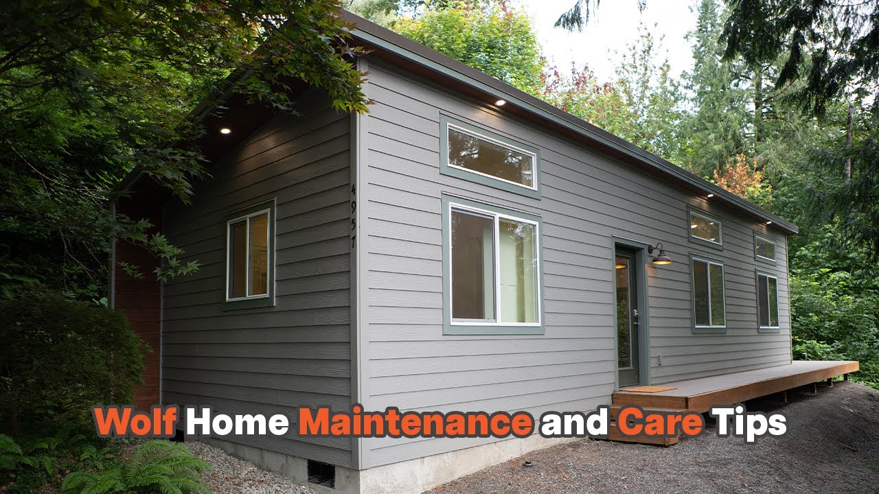 Tiny House Humidity Control: Stop Mold Before It Starts | Wolf Home Maintenance and Care Tips