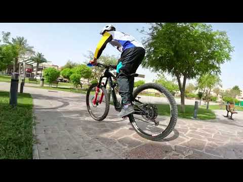 Barwa City, McDonalds Bridge