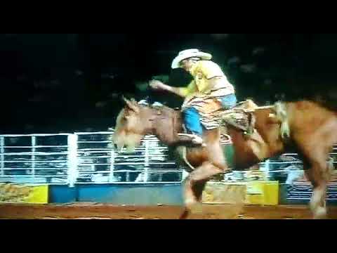 Jair Honorio. Animal(Voltei pra ti ver] Cia J.Palestina. Jales 2006  Profissão Atletas de rodeio