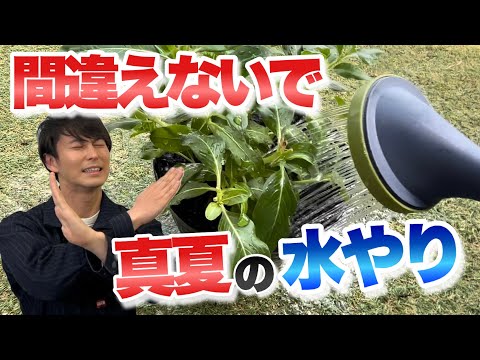 ドリップとマルチ 2022