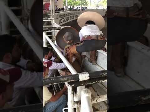 Jineteo de toro - Campeonato Estatal Charro 2019 [Chiapas]