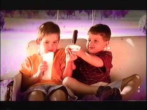 Confederate Railroad  That's What Brothers Do