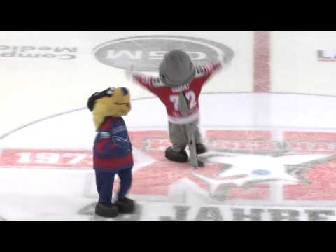 Sharky Dance - Backflip & Comeback Areni