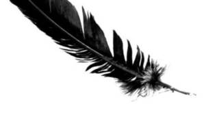 Falling Feathers (live)