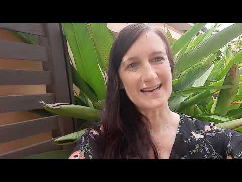 The ARIS Community 2020 Reflections and 2021 Wishes