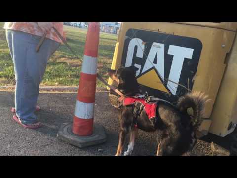 ADP 11 - Between (Backwards)