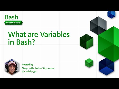 What are Variables in Bash? [14 of 20] | Bash for Beginners
