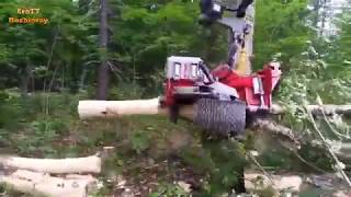 Excavator Cutting Big Trees