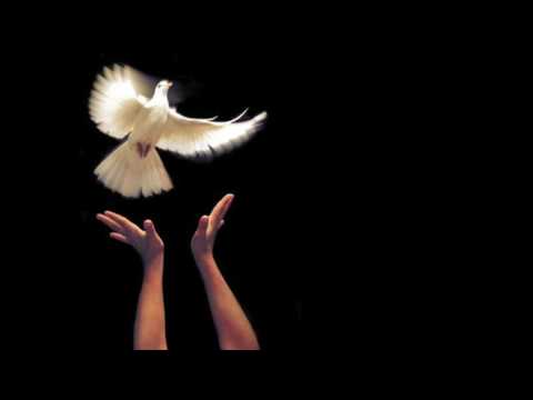 Bình ca 3 (Dường như là hòa bình) Sheet - Duy Quang