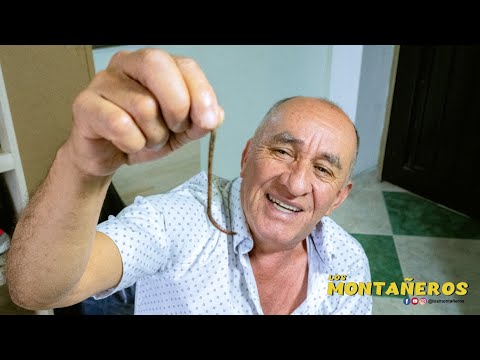 THE PURGANTS - THE MOUNTAINEERS