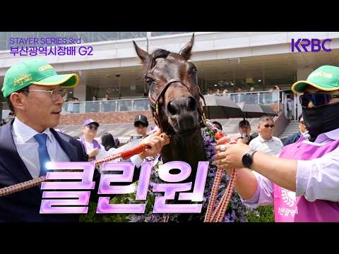 올해 코리아컵 해볼만할지도?ㅣ2026 부산광역시장배 후기