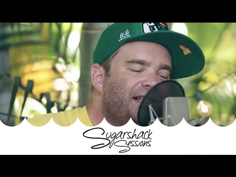 The Movement - Habit (Live Music) | Sugarshack Sessions
