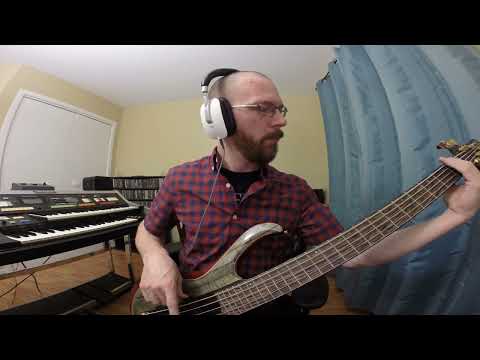 Immortal - Against The Tide (In The Arctic World) (bass cover)