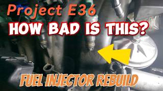 Quick E36 Fuel Injector Rebuild That'll Save You Hundreds