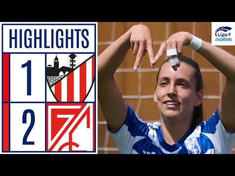 bg-highlight