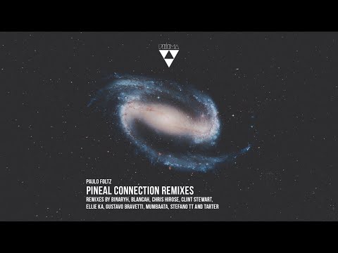 Paulo Foltz - Immersive (Tarter Remix) [PRSM018]