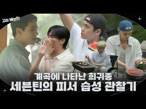[GOING SEVENTEEN] EP.137 세븐틴, 무리 지어 쉬다 #2 (SEVENTEEN, How The Pack Rests #2)