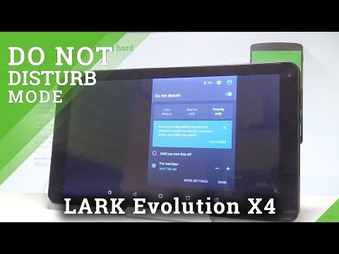 How to Enable Do Not Disturb Mode on LARK Evolution X4 - DND Settings |HardReset.Info