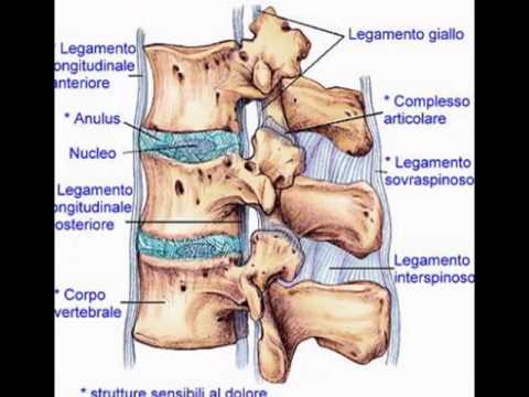 Pancia molto dolorante e lombo di 39 settimane di gravidanza Osteomielite del rachide cervicale