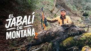 Ep. 2 Cazando el jabalí de la solana | El jabalí de montaña