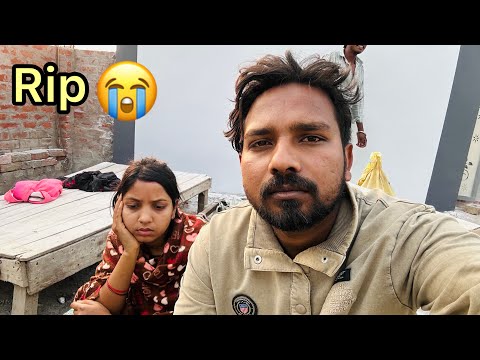 RIP 😭 ऐसा नहीं होना चाहिए था 😭